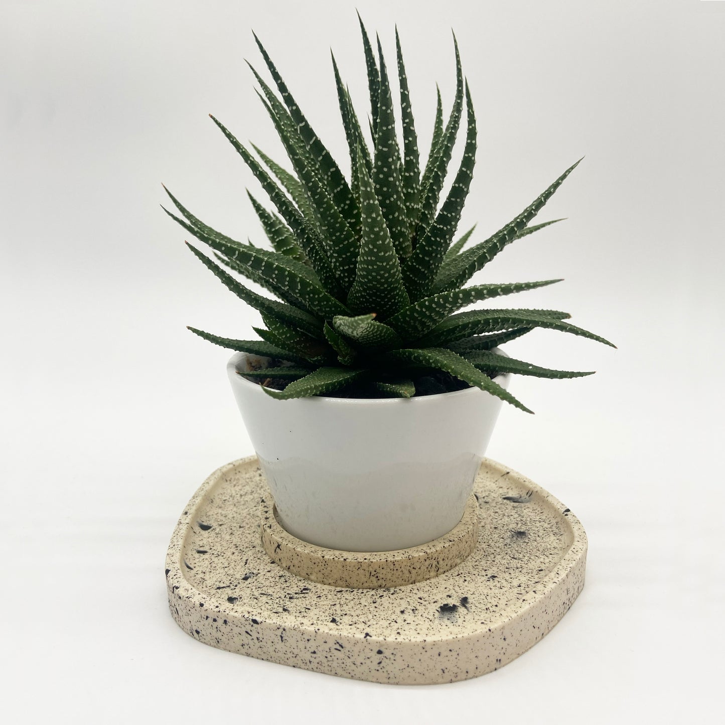 Decoration Set - Tray and Coaster