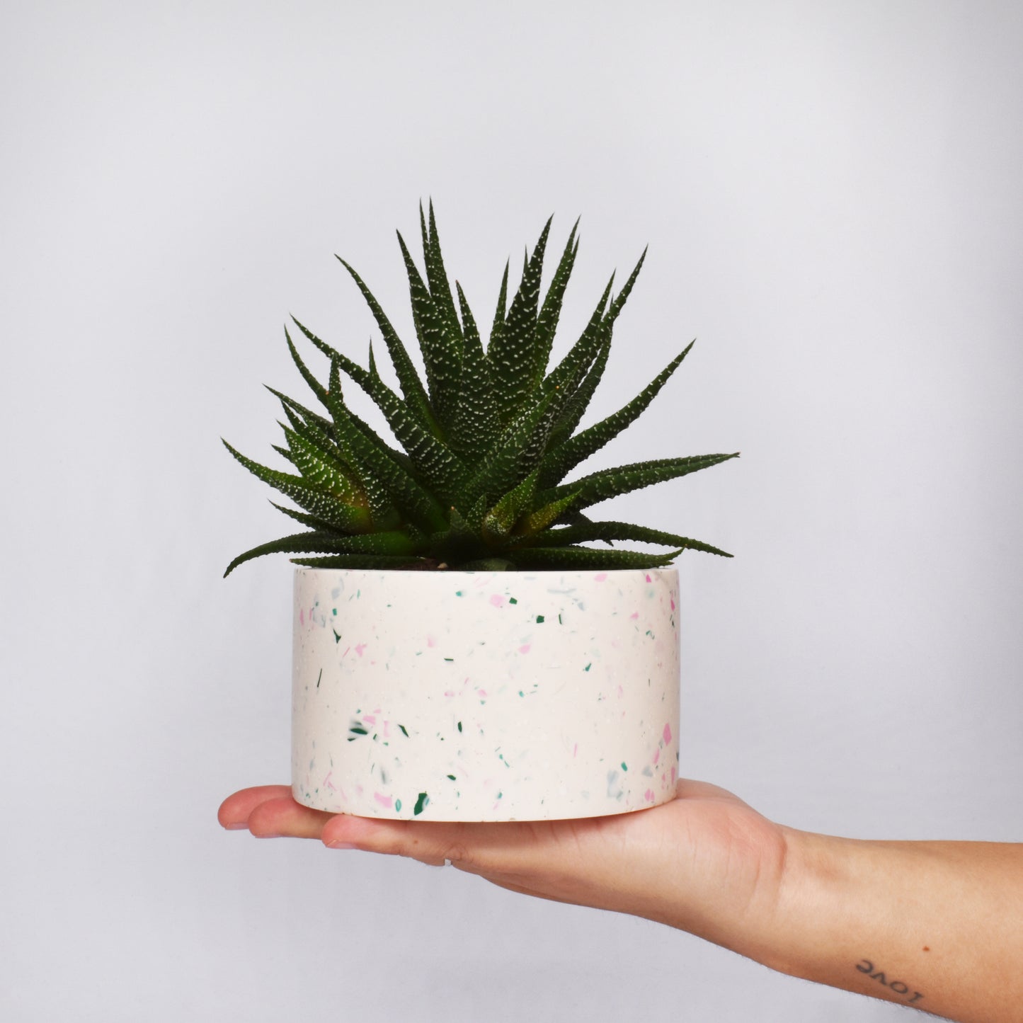 Spencer Planter - Large