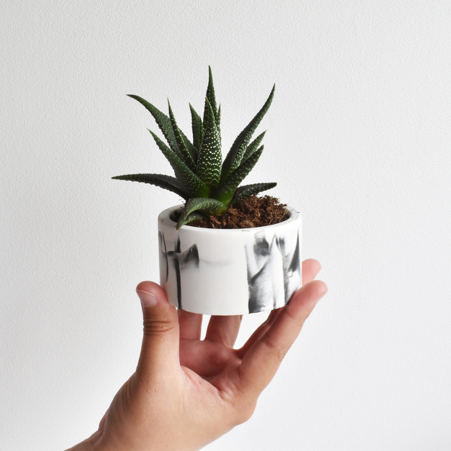 Spencer Planter - Small